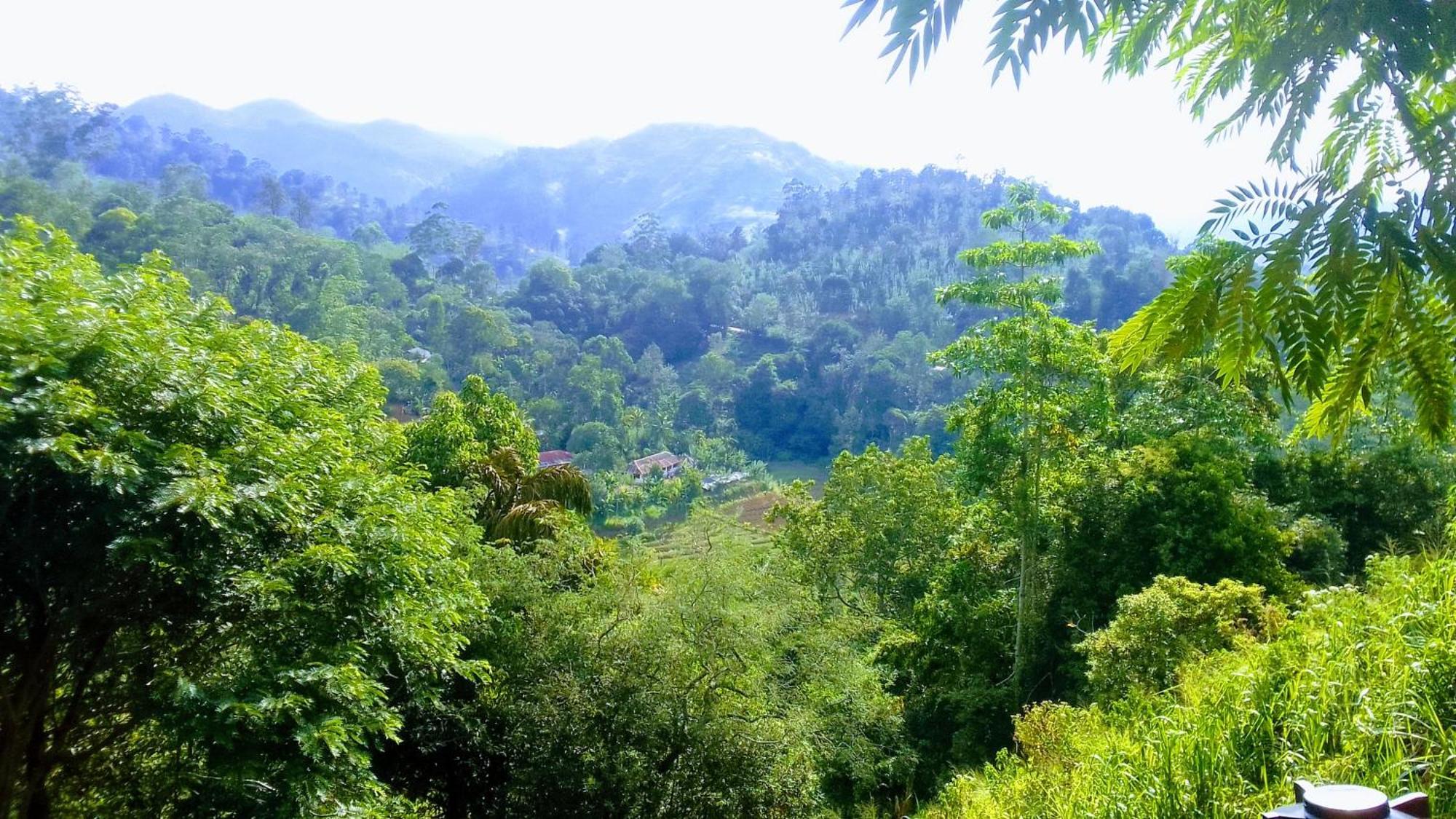 Green Jungle " Cool View" Apartment Ella Exterior foto