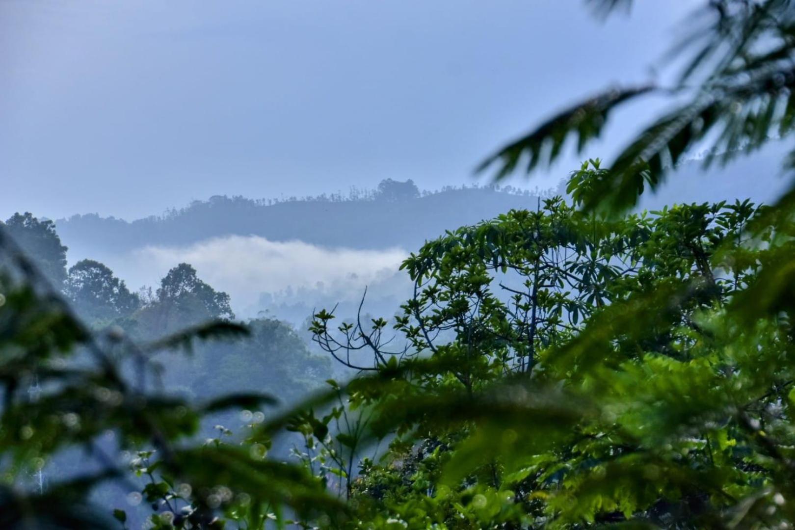 Green Jungle " Cool View" Apartment Ella Exterior foto