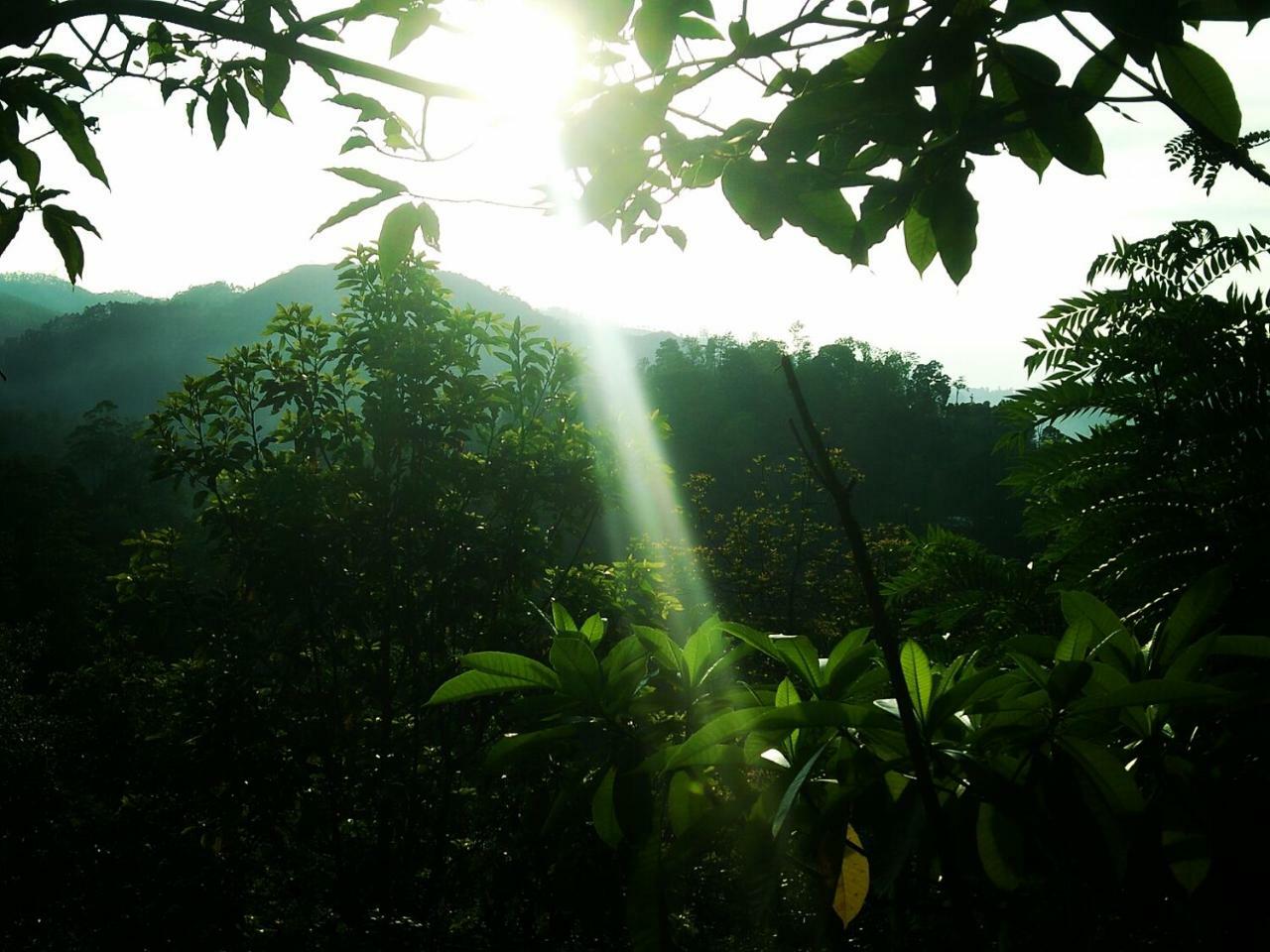 Green Jungle " Cool View" Apartment Ella Exterior foto