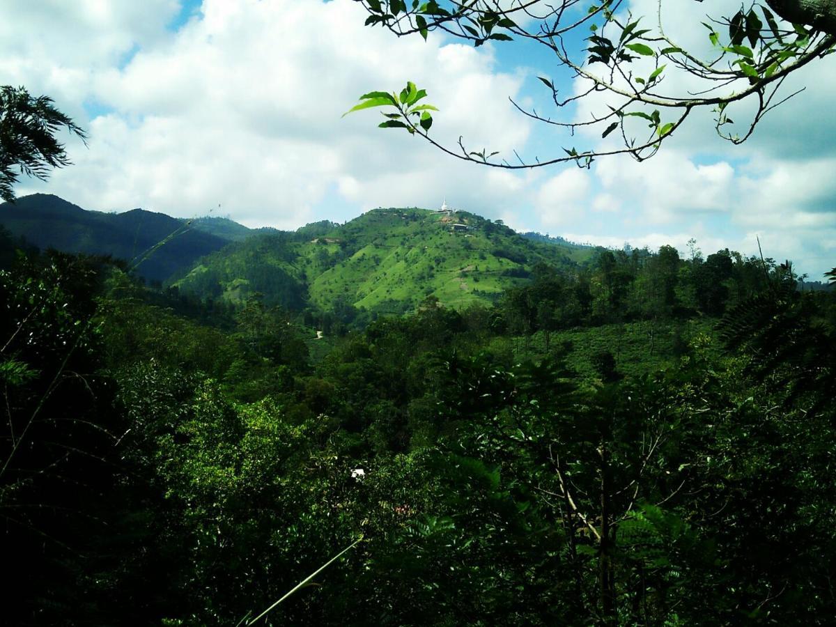 Green Jungle " Cool View" Apartment Ella Exterior foto